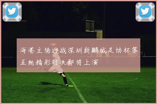 海港主场迎战深圳新鹏城足协杯第五轮精彩对决即将上演