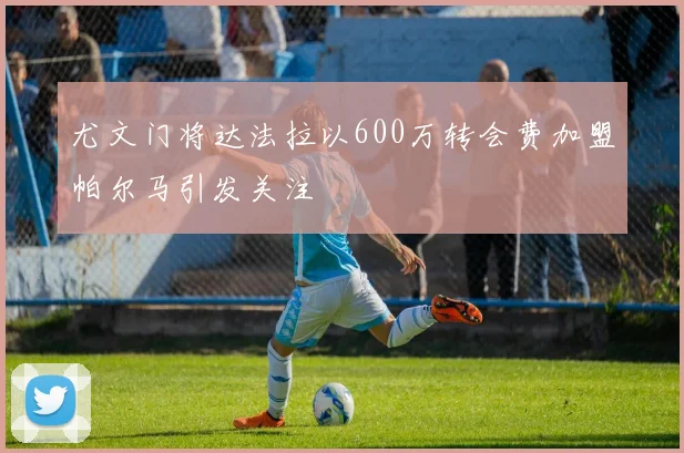 尤文门将达法拉以600万转会费加盟帕尔马引发关注